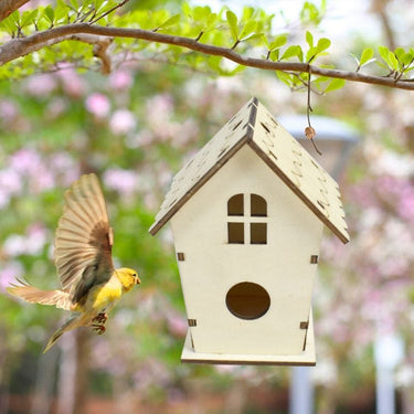 Kit de montage de maisonnette pour oiseaux